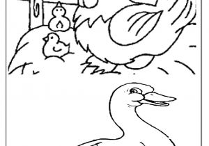 Coloriage Sur Les Animaux De La Ferme Coloriage Les Animaux De La Ferme Preprof