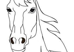Coloriage Tete De Cheval A Imprimer 477 Best Dessin Images On Pinterest