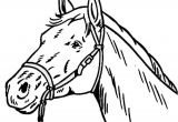 Coloriage Tete De Cheval A Imprimer Tete De Cheval Coloriage