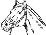 Coloriage Tete De Cheval A Imprimer Tete De Cheval Coloriage