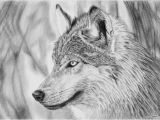 Coloriage Tete De Loup Dessin Loup 1