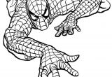 Coloriage the Amazing Spider Man 20 Best Coloriages Spiderman Images On Pinterest