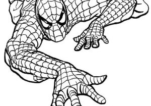Coloriage the Amazing Spider Man 20 Best Coloriages Spiderman Images On Pinterest