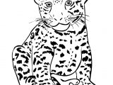 Coloriage Tigre Gratuit A Imprimer épinglé Par Ciboulette Sur Dessins