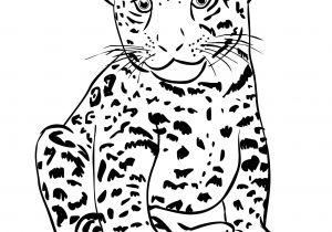 Coloriage Tigre Gratuit A Imprimer épinglé Par Ciboulette Sur Dessins