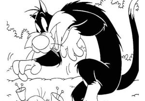 Coloriage Titi Gros Minet Titi Et Gros Minet 7 Coloriage De Titi Et Gros Minet Coloriages