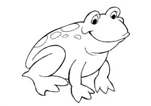 Coloriage toad Chat Dessins Gratuits   Colorier Coloriage Grenouille   Imprimer
