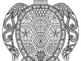 Coloriage tortue à Imprimer Les 199 Meilleures Images De Coloriage D Animaux Animal