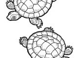 Coloriage tortue De Terre 12 Best Ed Visual Images On Pinterest Coloriage tortue De Terre 12 Best Ed Visual Images On Pinterest
