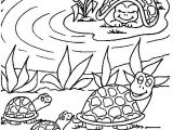 Coloriage tortue De Terre 185 Best Coloriages Animaux Sur Terre Images On Pinterest Coloriage tortue De Terre 185 Best Coloriages Animaux Sur Terre Images On Pinterest