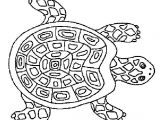 Coloriage tortue De Terre 50 Best Turtles Images On Pinterest Coloriage tortue De Terre 50 Best Turtles Images On Pinterest