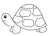 Coloriage tortue De Terre 68 Best Coloriage Enfants Images On Pinterest