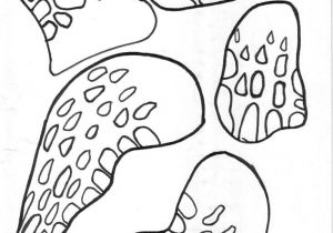 Coloriage tortue De Terre 68 Best Coloriages Animaux Marins Images On Pinterest