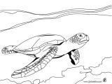 Coloriage tortue De Terre 68 Best Coloriages Animaux Marins Images On Pinterest Coloriage tortue De Terre 68 Best Coloriages Animaux Marins Images On Pinterest