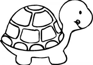 Coloriage tortue De Terre Coloriage Enfant tortues Dessin Enfant tortues tortues Coloriage