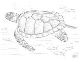 Coloriage tortue De Terre Les 9 Meilleures Images Du Tableau Illustrations Sur Pinterest Coloriage tortue De Terre Les 9 Meilleures Images Du Tableau Illustrations Sur Pinterest