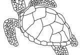 Coloriage tortue Ninja à Imprimer Dessin tortue Ninja Maternelle