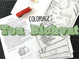 Coloriage tou Bichvat Coloriages Pour Le Nouvel An Des Arbres tou Bichvat Tu B Shvat