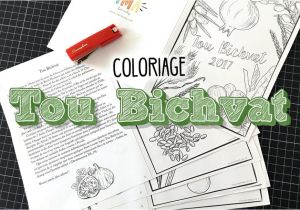 Coloriage tou Bichvat Coloriages Pour Le Nouvel An Des Arbres tou Bichvat Tu B Shvat
