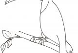 Coloriage toucan A Imprimer Coloriage D Un toucan Tªte   Modeler