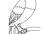 Coloriage toucan A Imprimer Coloriage   Imprimer Un toucan Turbulus Jeux Pour Enfants