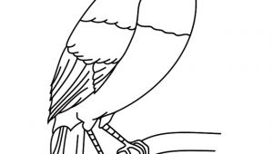 Coloriage toucan A Imprimer Coloriage   Imprimer Un toucan Turbulus Jeux Pour Enfants