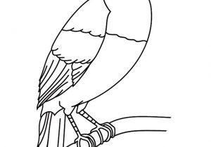 Coloriage toucan A Imprimer Coloriage   Imprimer Un toucan Turbulus Jeux Pour Enfants
