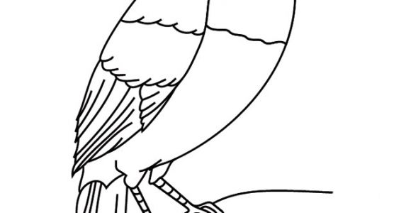 Coloriage toucan A Imprimer Coloriage   Imprimer Un toucan Turbulus Jeux Pour Enfants
