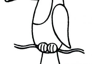 Coloriage toucan A Imprimer Coloriage Rafael toucan toucan Coloriage toucan A Imprimer Et