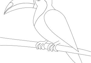 Coloriage toucan A Imprimer Coloriage toucan toco