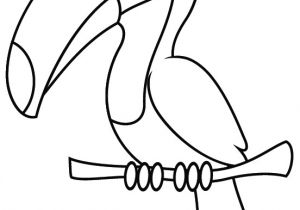 Coloriage toucan A Imprimer Dessin   Imprimer Un toucan Dory Coloriages