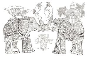 Coloriage tous En Scene Elephant Coloriages Difficiles Pour Adultes
