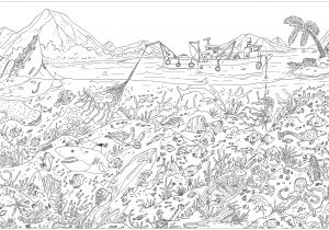 Coloriage tous En Scene Plexe Fonds Marins Mondes Aquatiques