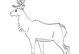 Coloriage Trotro A Imprimer Gratuit Coloriage Et Dessin Wapiti à Imprimer