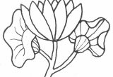 Coloriage Tulipe à Imprimer Dessin Facile Fleur Exotique