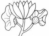Coloriage Tulipe à Imprimer Dessin Facile Fleur Exotique