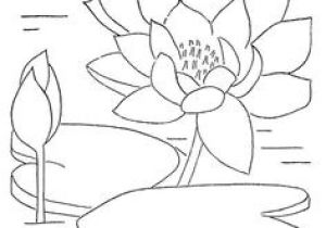 Coloriage Tulipe à Imprimer Les 2015 Meilleures Images De Dessins En 2019