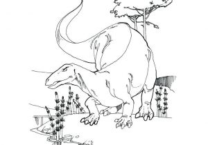 Coloriage Tyrannosaure Rex Imprimer Animaux Coloriage Dinosaure A Imprimer Coloriage Bacbac Dinosaure A