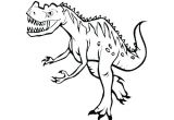 Coloriage Tyrannosaure Rex Imprimer Coloriage Dinosaure Tyrex Dessin Gratuit A Imprimer Autres Coloriage
