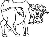 Coloriage Vache Qui Rit Coloriage Vache Qui Rit En Ligne Gratuit   Imprimer