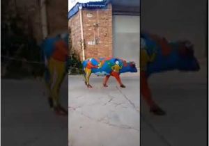 Coloriage Vaiana La Légende Du Bout Du Monde Download L C3 Bd Do M C3 Acnh K E1 Ba Bft Th C3 Bac Ti E1 Ba