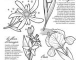 Coloriage Violette Fleur 14 Best Coloriages Porte Bonheur Images On Pinterest