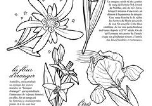 Coloriage Violette Fleur 14 Best Coloriages Porte Bonheur Images On Pinterest
