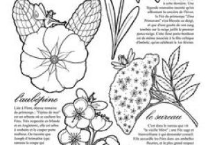 Coloriage Violette Fleur Coloriage Jardinage Fruits Rouges Hugolescargot