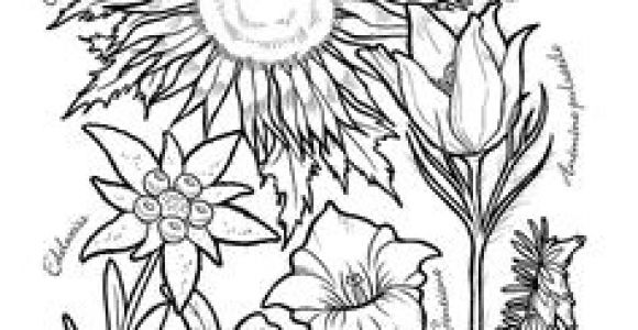 Coloriage Violette Fleur Coloriage Jardinage Fruits Rouges Hugolescargot