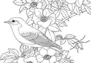Coloriage Violette Fleur Coloriage Pour Adulte New York … ÑÐ¸ÑÑÐ½ÐºÐ¸ Pinterest