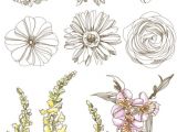 Coloriage Violette Fleur épinglé Par Delphine Hillion Sur Dessins Pinterest
