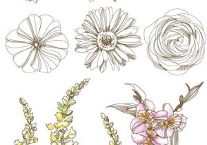 Coloriage Violette Fleur épinglé Par Delphine Hillion Sur Dessins Pinterest
