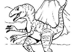 Coloriage Volcan Dinosaure Coloriage D Un Tyrannosaure Pr¨s D Un Volcan