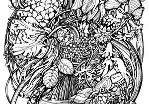 Coloriage Yorkshire 1724 Best Dessin Et Coloriage Images On Pinterest